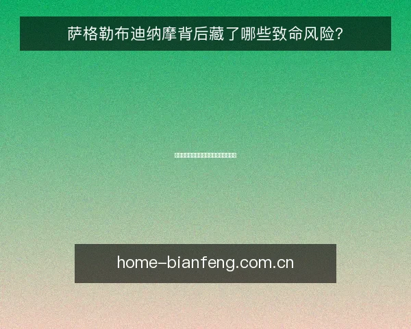 萨格勒布迪纳摩背后藏了哪些致命风险？