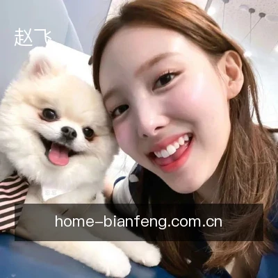 赵飞